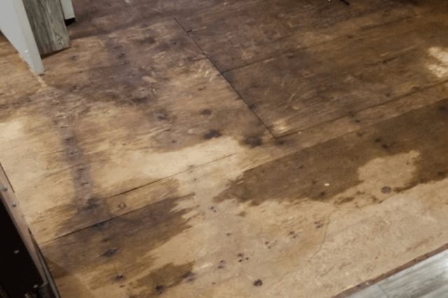 floor